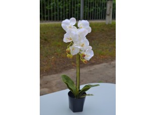 Цветок искусственный Орхидея в горшке ветка двойная 58см кремовая CV07589