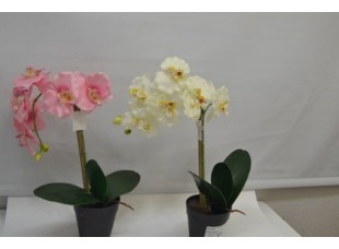 Цветок искусственная Орхидея в горшке  Микс 38 см CV01246-KT-MIX