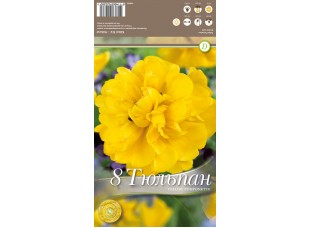 Тюльпан Yellow Pomponette 8 шт/уп р.11/12, каперс 108062