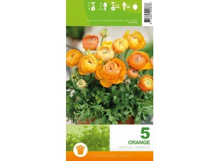 Ранункулюс Orange 5шт/уп  р.6-7 клубень